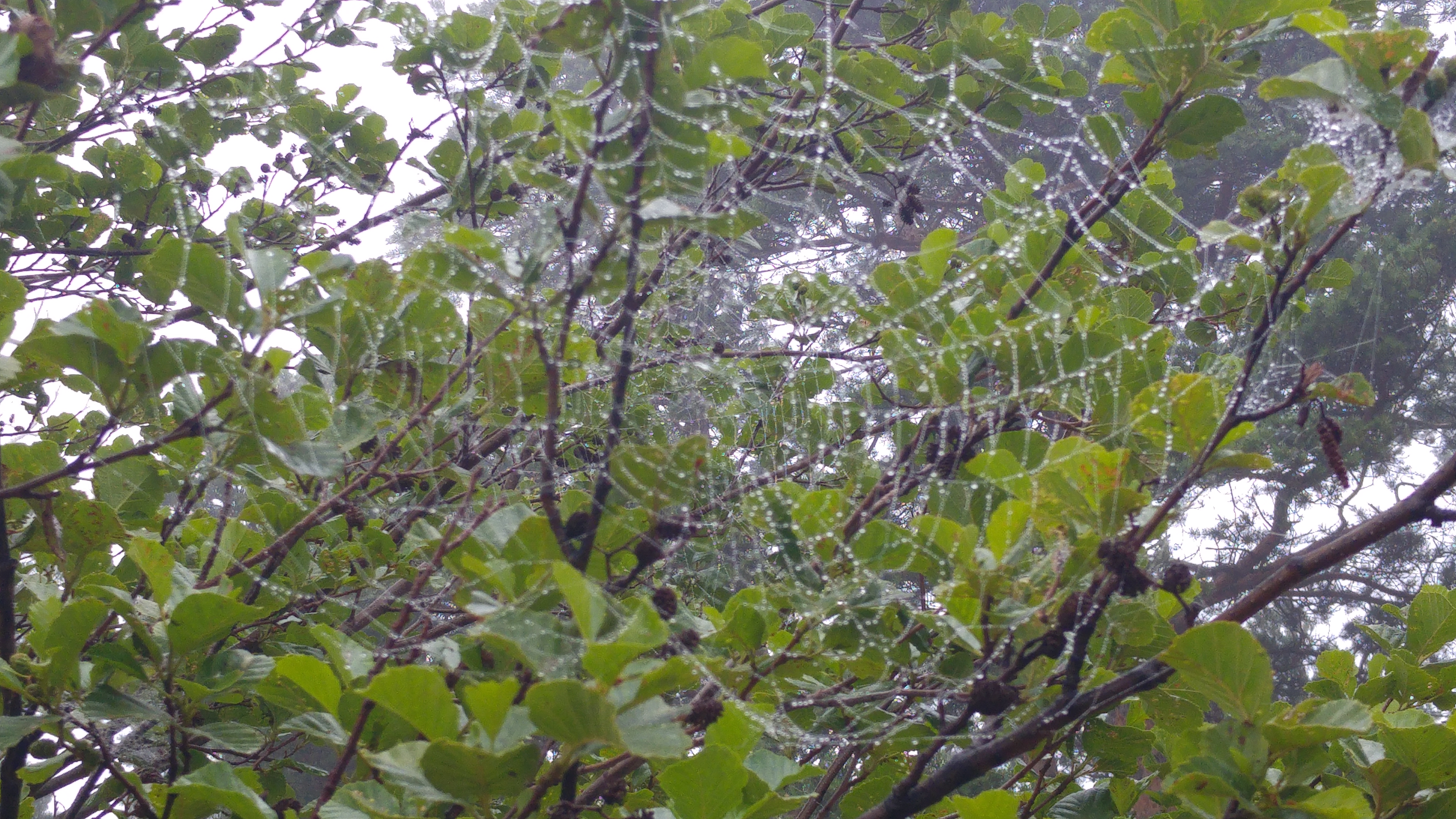 kotka luontopolku seitti2