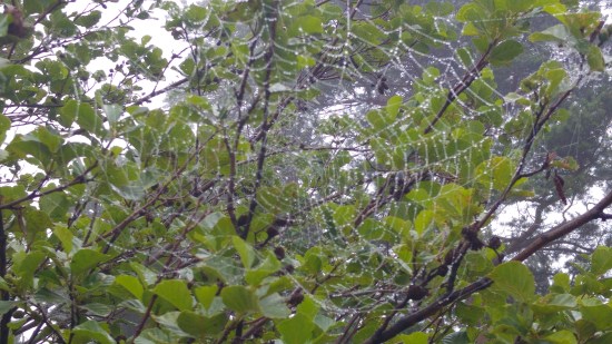 kotka luontopolku seitti2