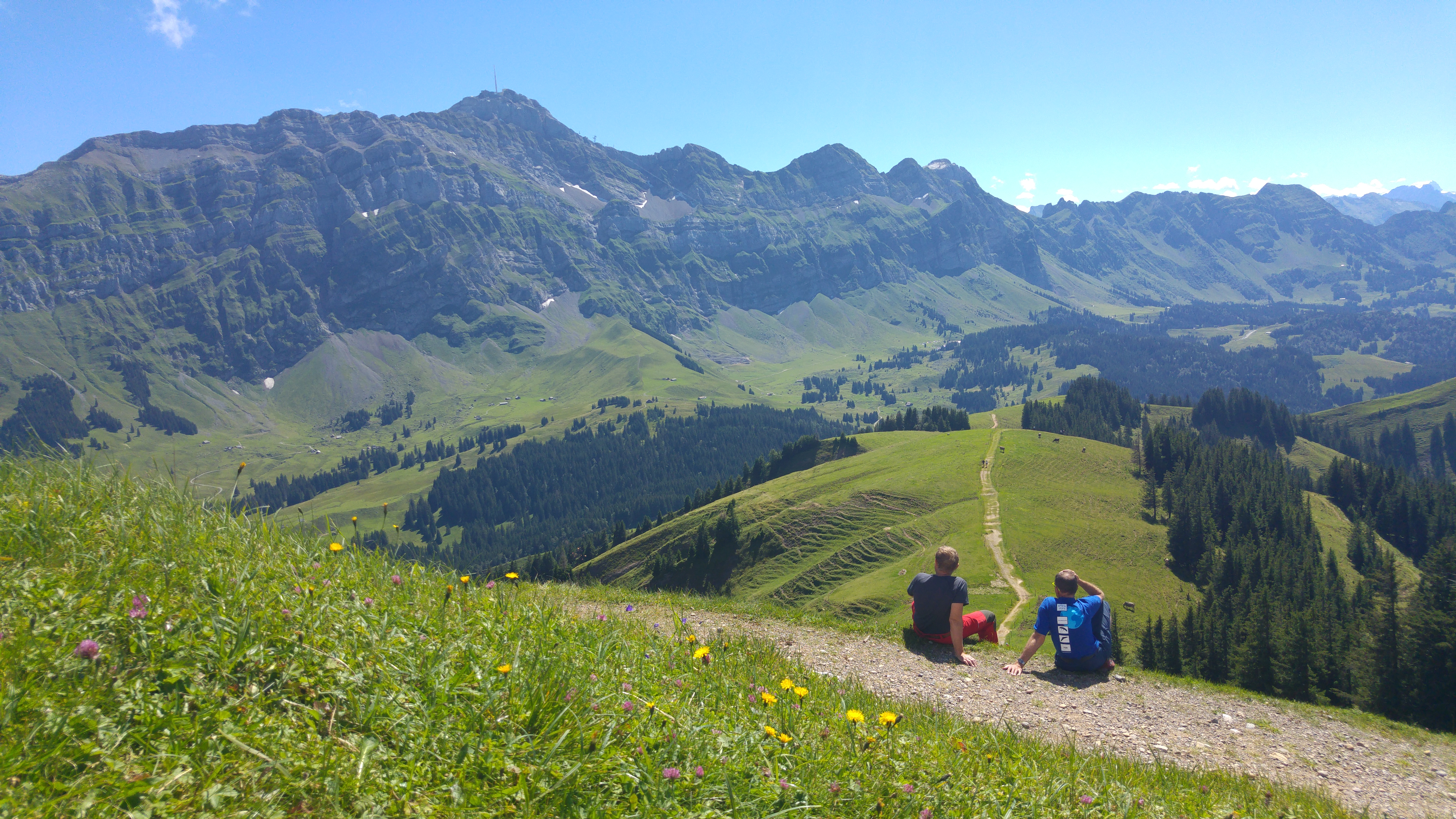 kronberg11 tyypit reunalla