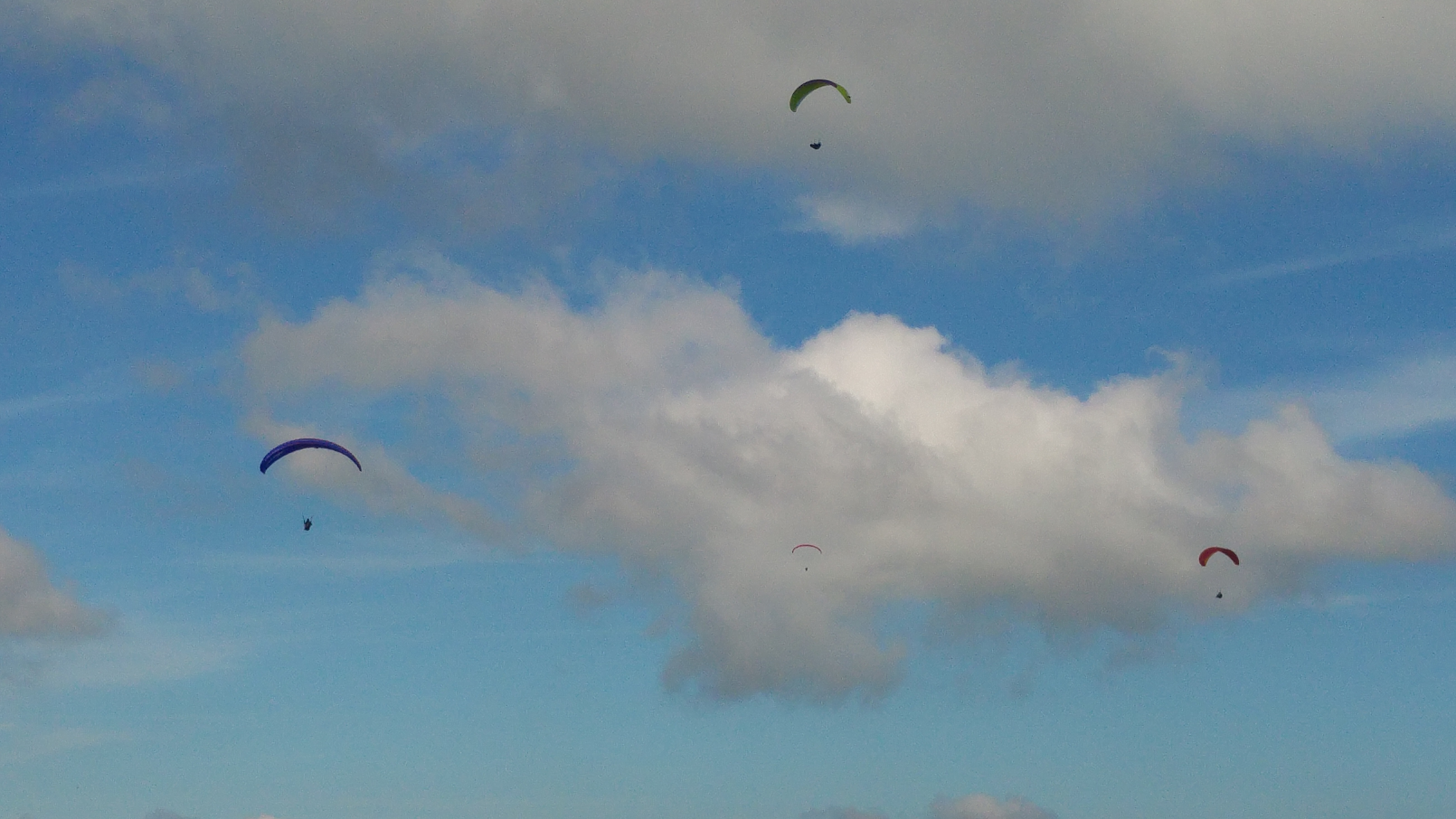 kronberg16 liitäjiä taivaalla