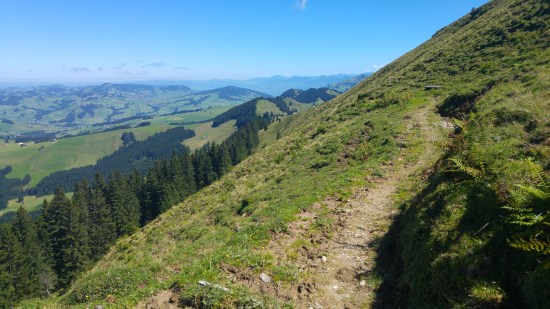 kronberg7 hyvä polku sivusta