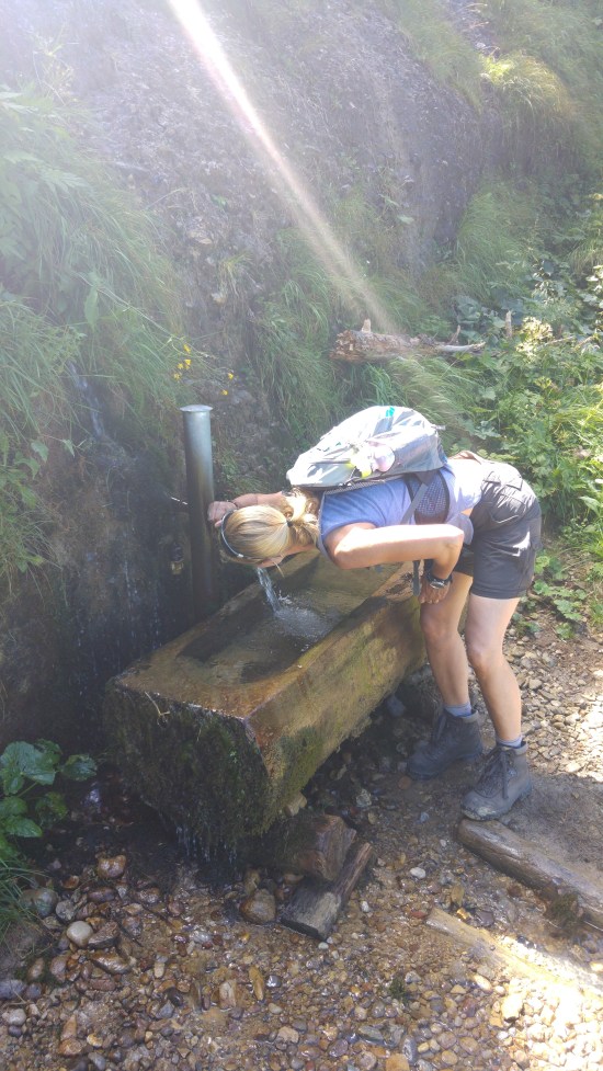 kronberg9 hörppy jacobsquellestä