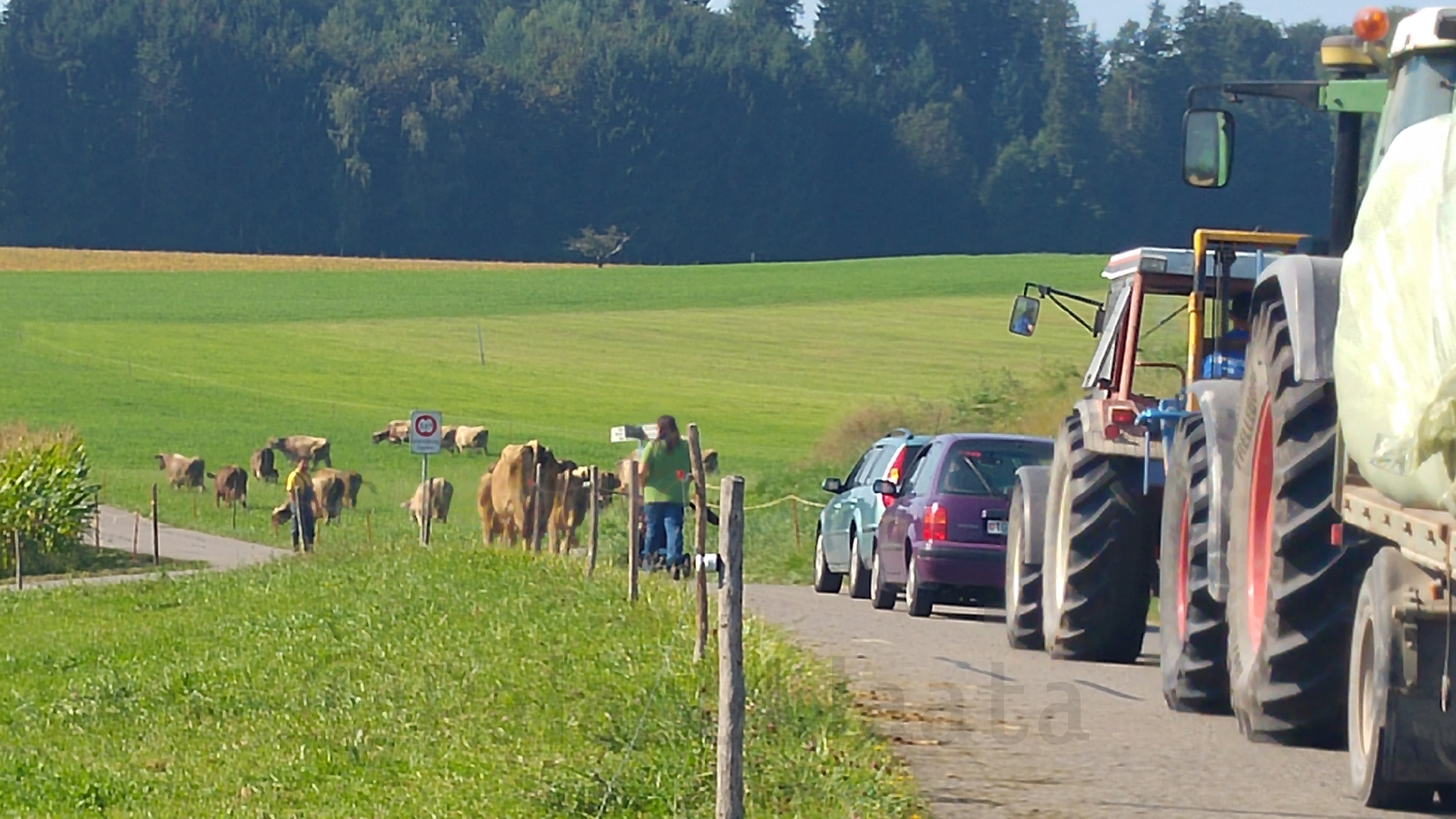 16-10-02-21-19-37-269_deco