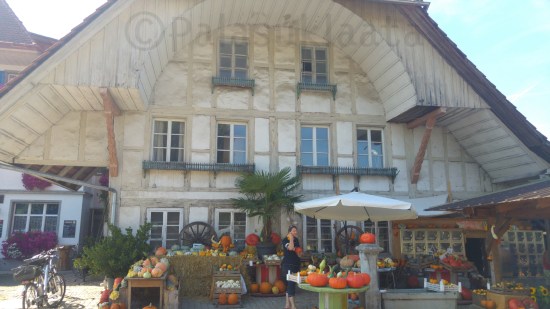 emmental-kurpitsakauppa