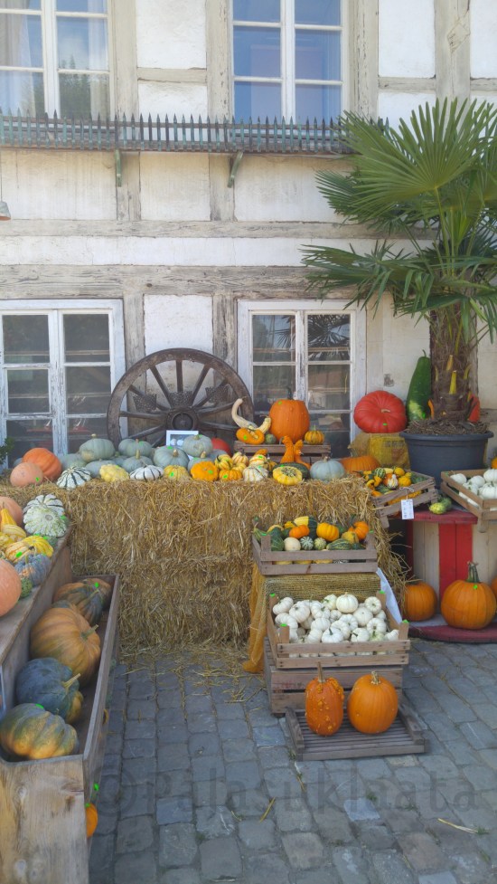 emmental-kurpitsatarjonta