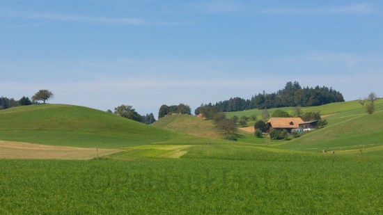 emmental-maisema