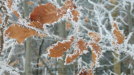 17-01-23-16-32-23-345_deco