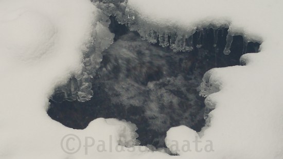 17-01-23-16-47-30-162_deco