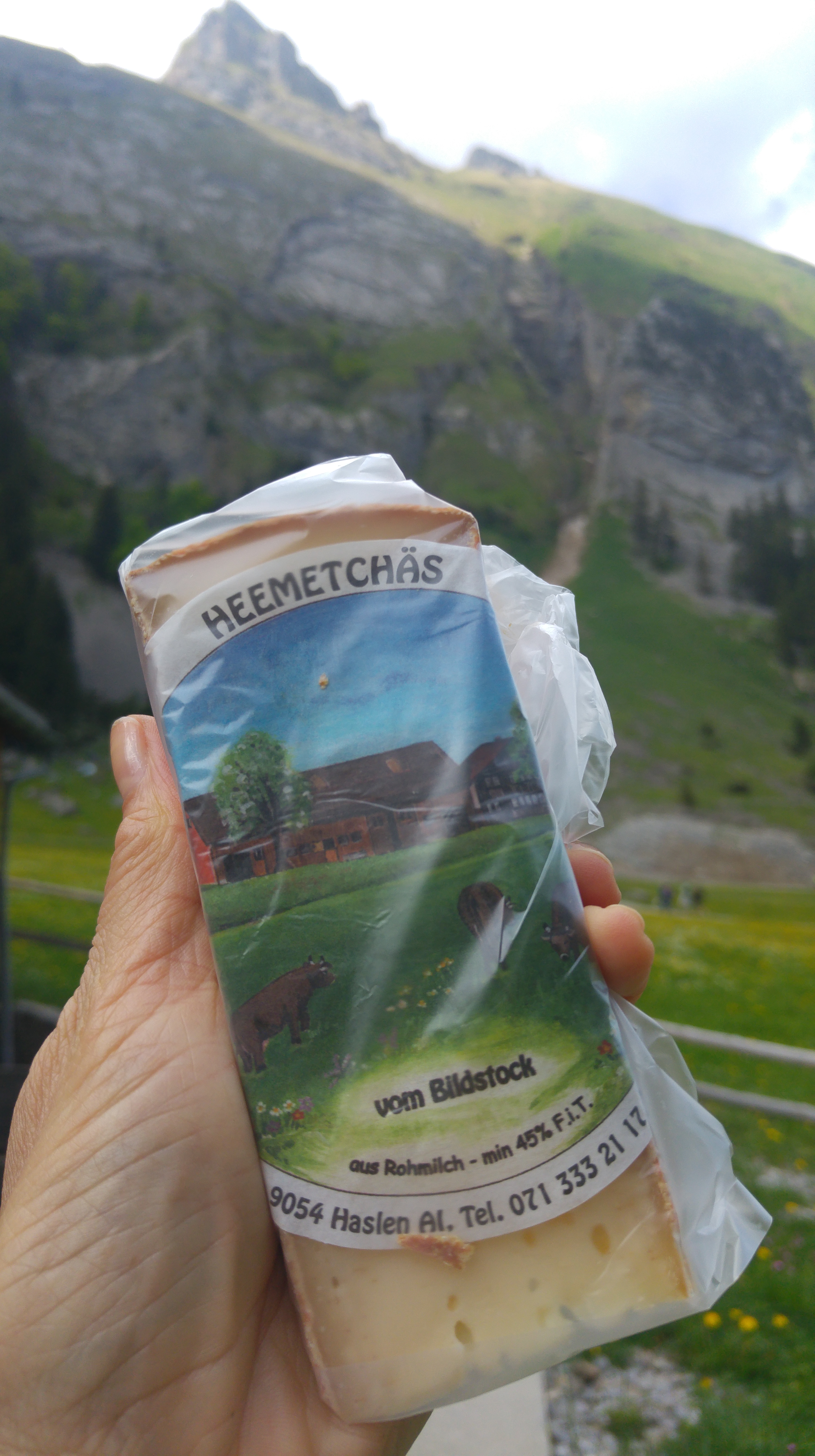 seealpsee käse 13