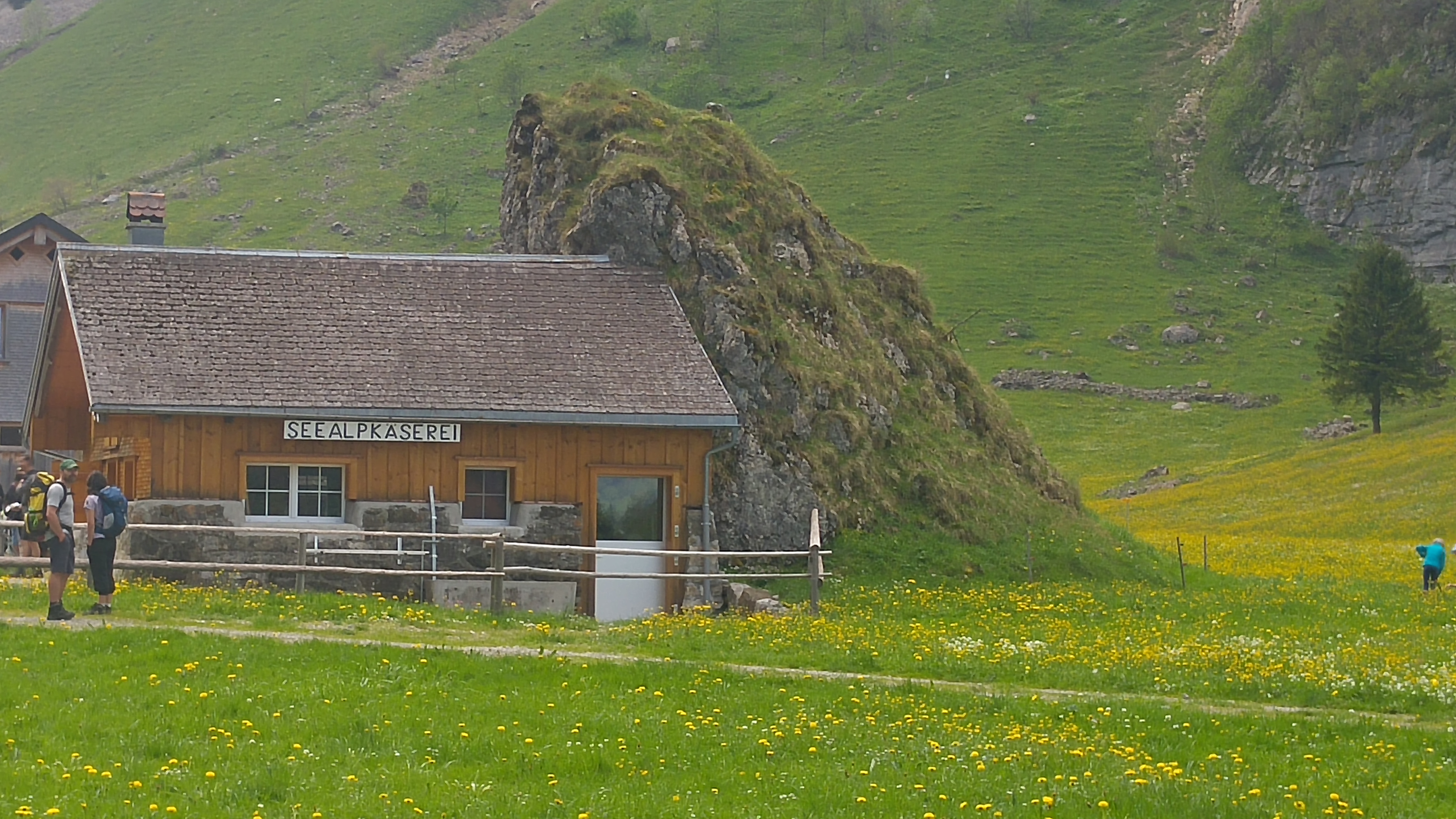 seealpsee käserei 12