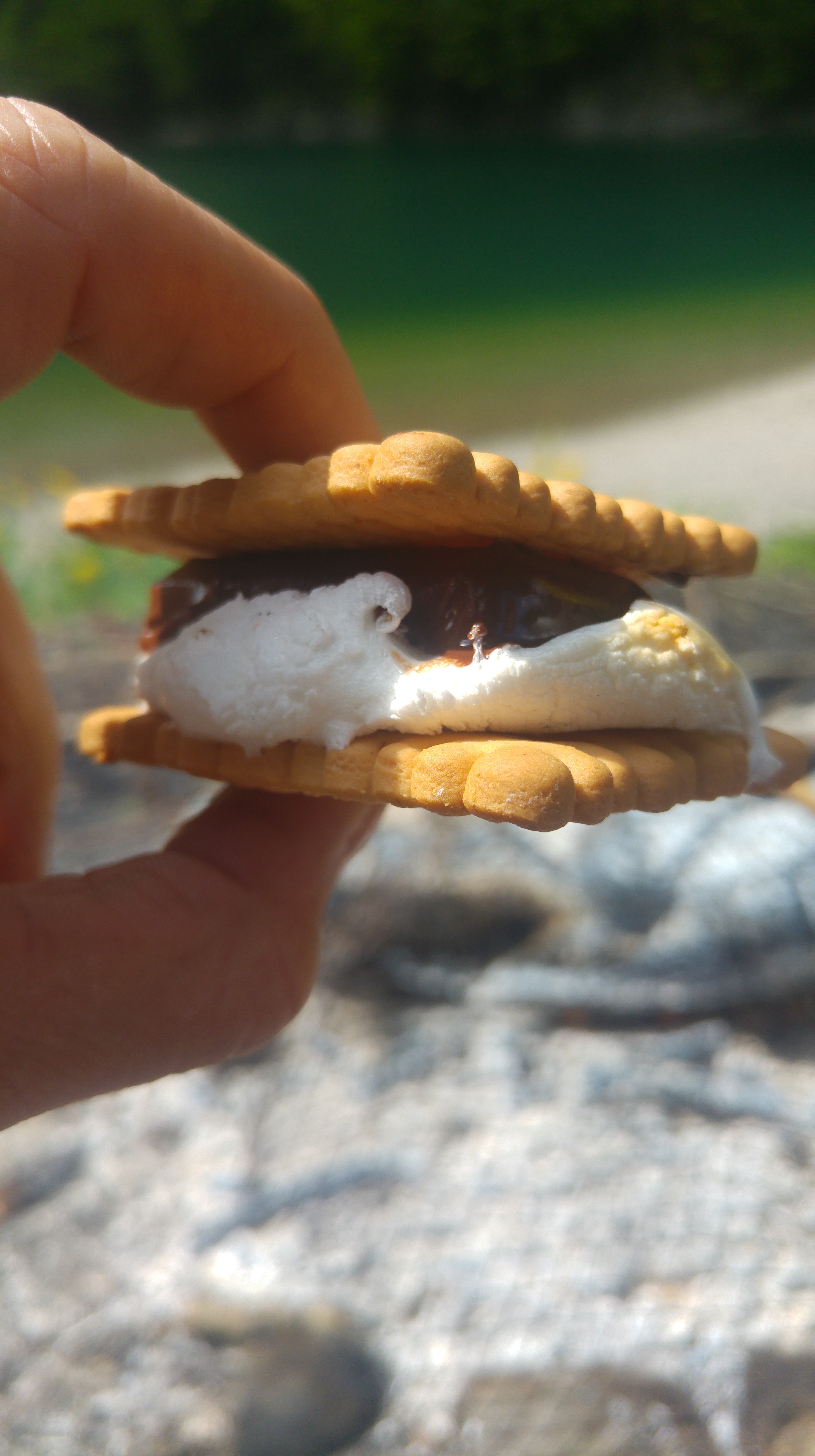 seealpsee marshm sandwich 11