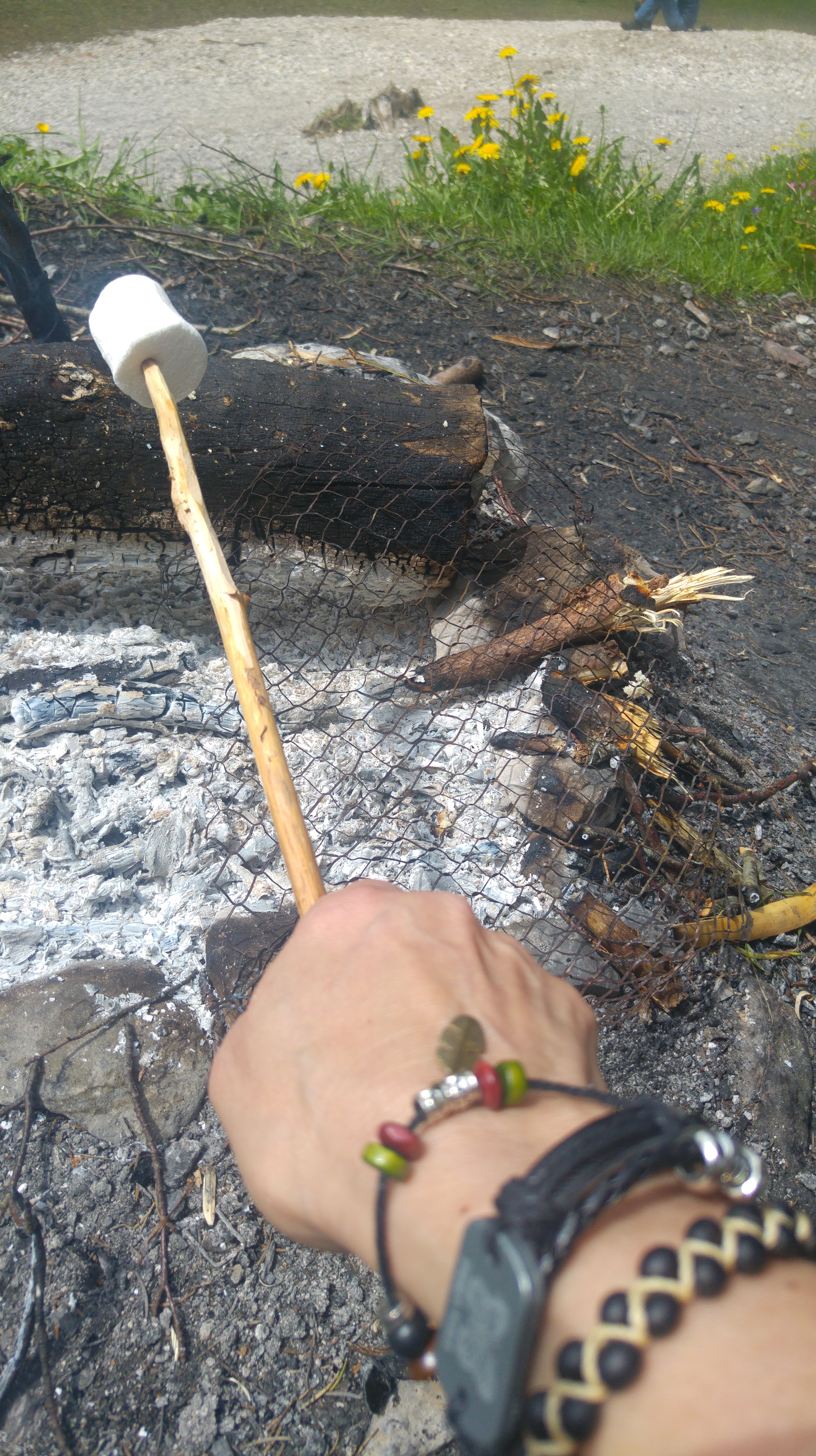 seealpsee marshmallow 10