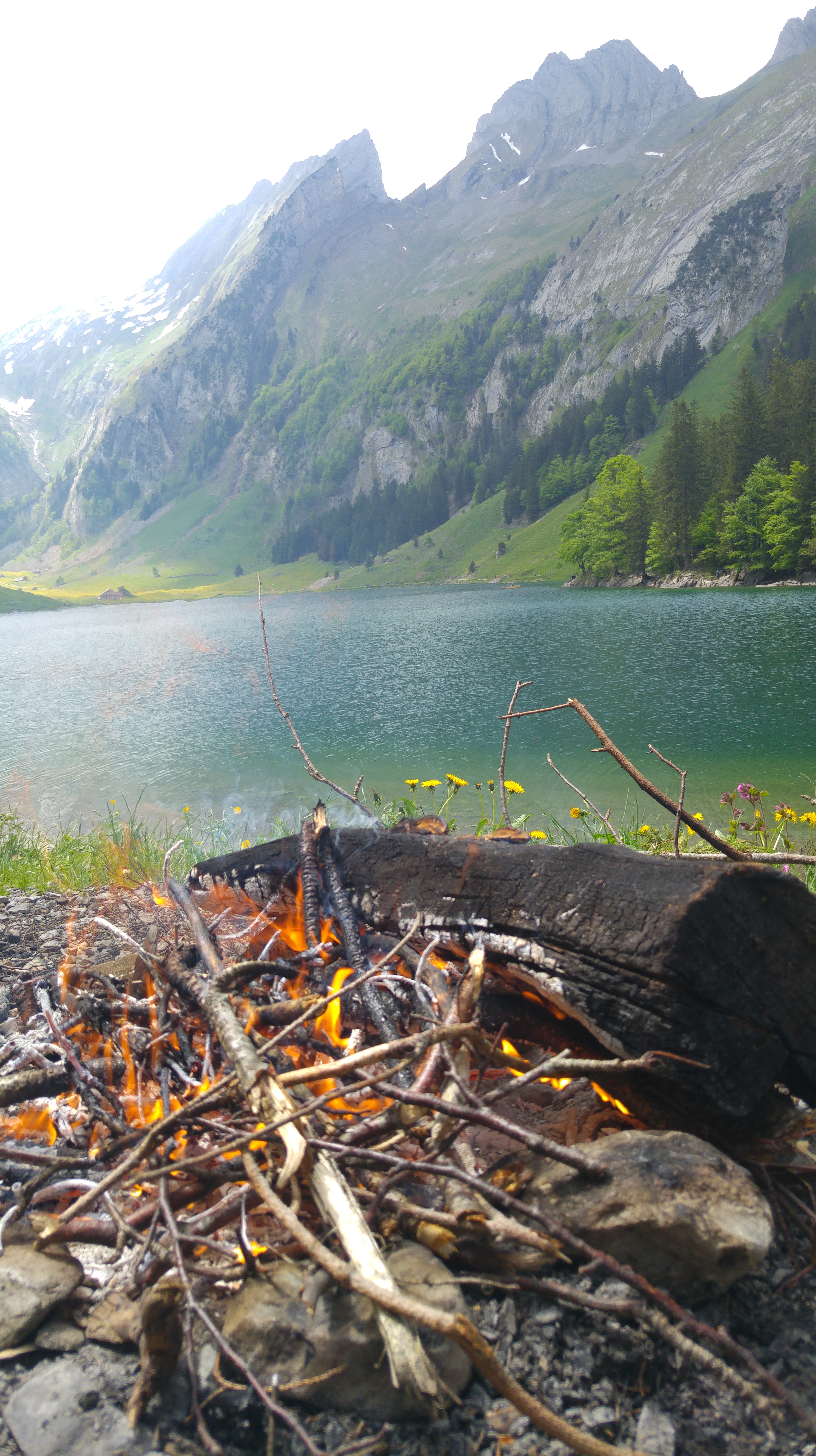 seealpsee nuotio 9