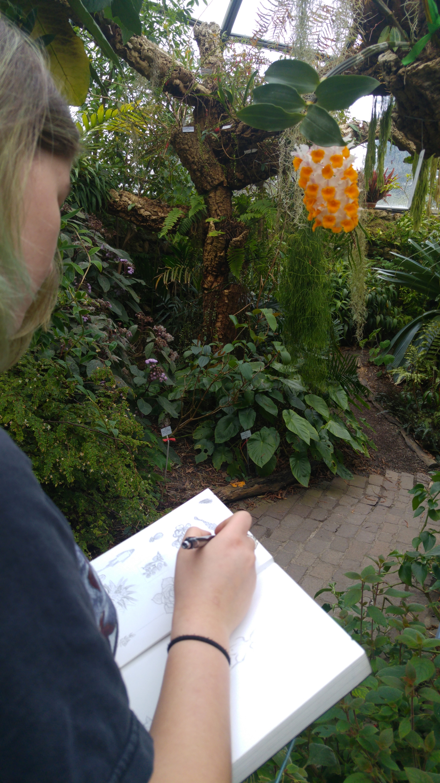 taiteilija piirtää