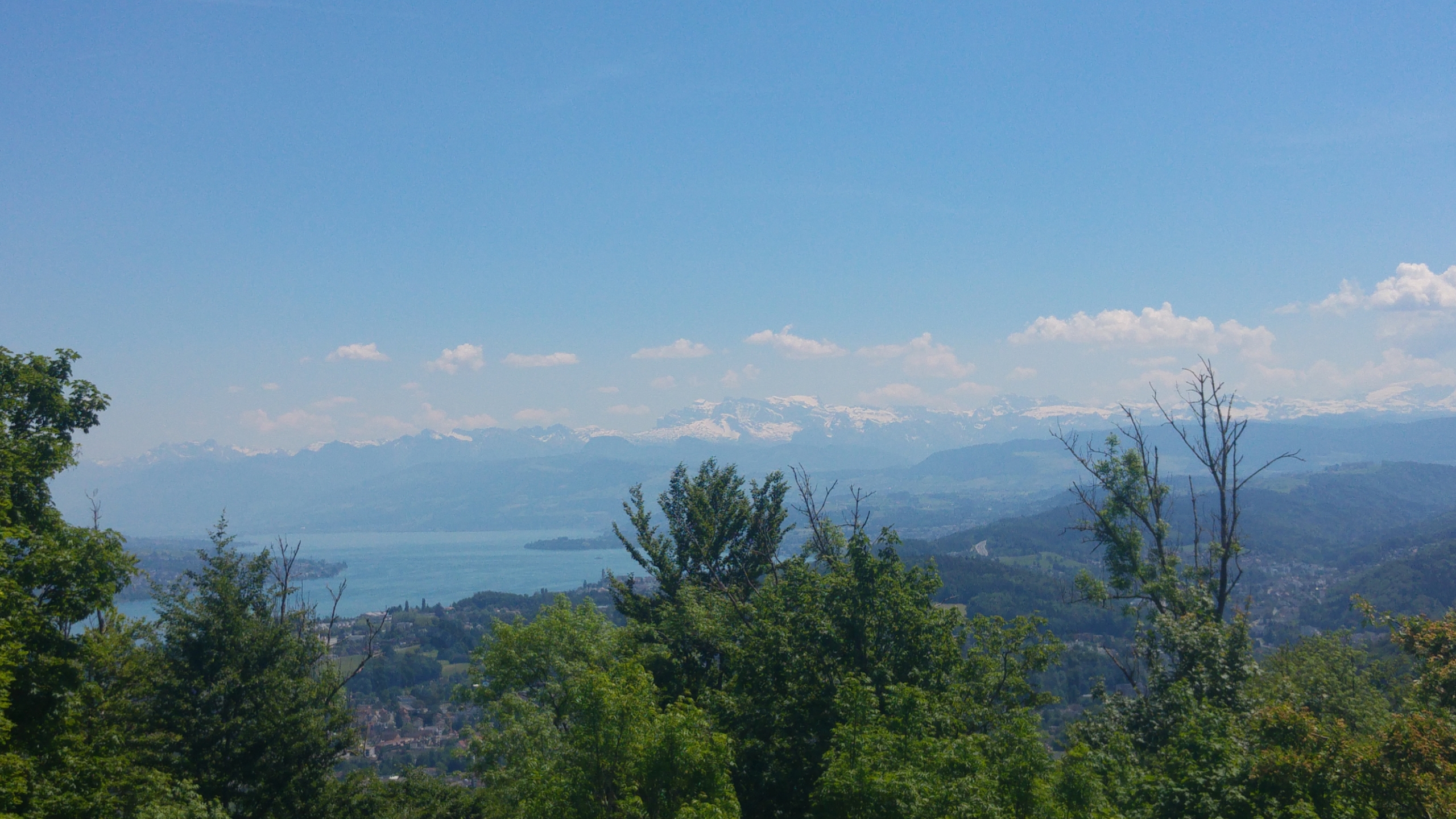 albis näkymä vuorille