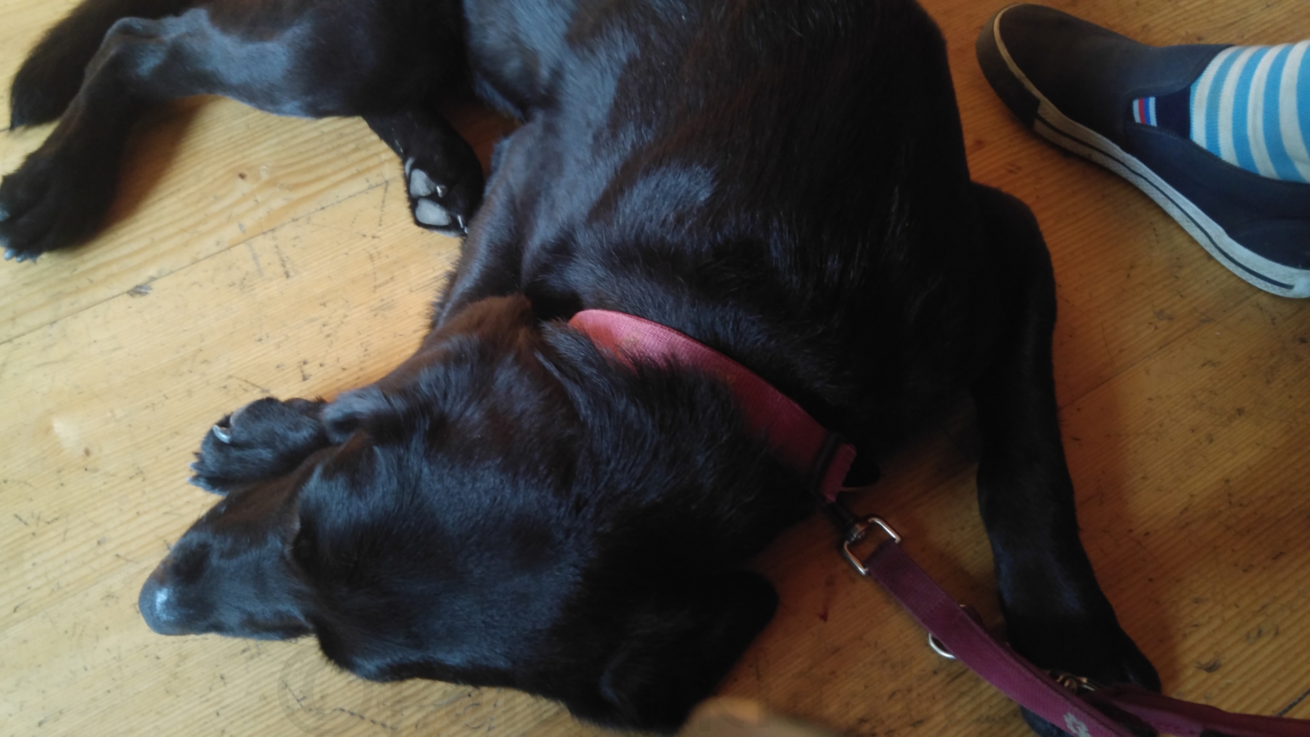 17-07-03-15-52-30-471_deco