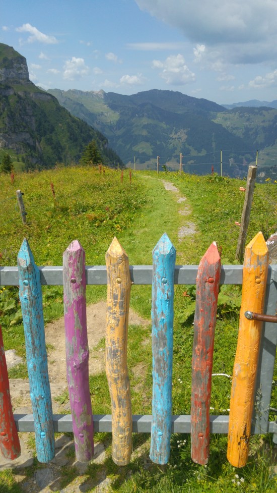 17-07-10-15-49-03-732_deco