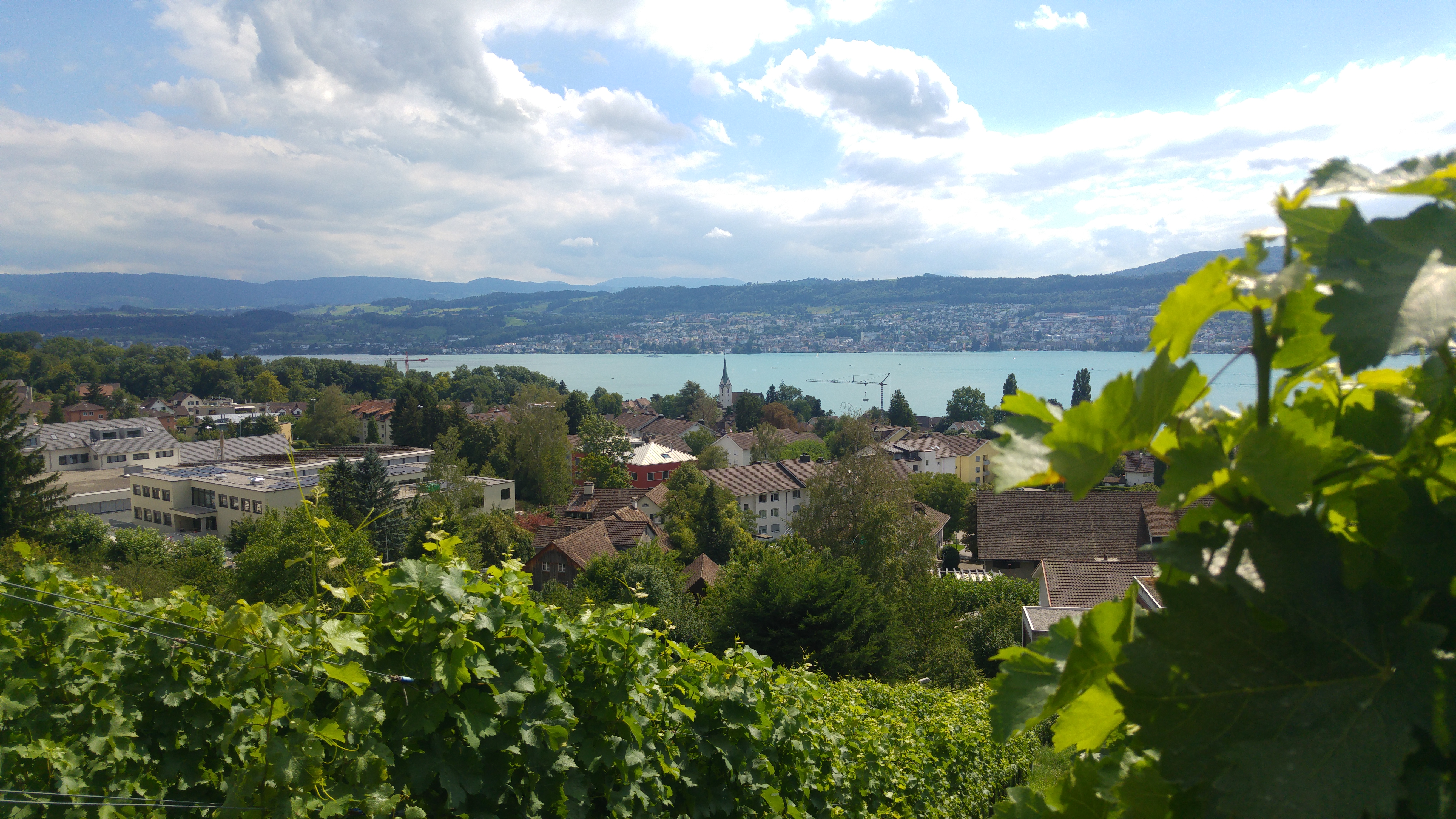 meilen viiniviljelysten luota