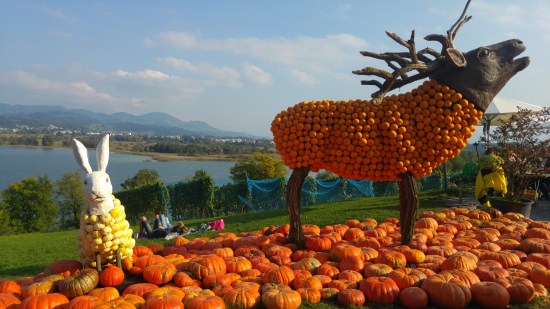 psee 10 hirvi ja pupu kurpisoista