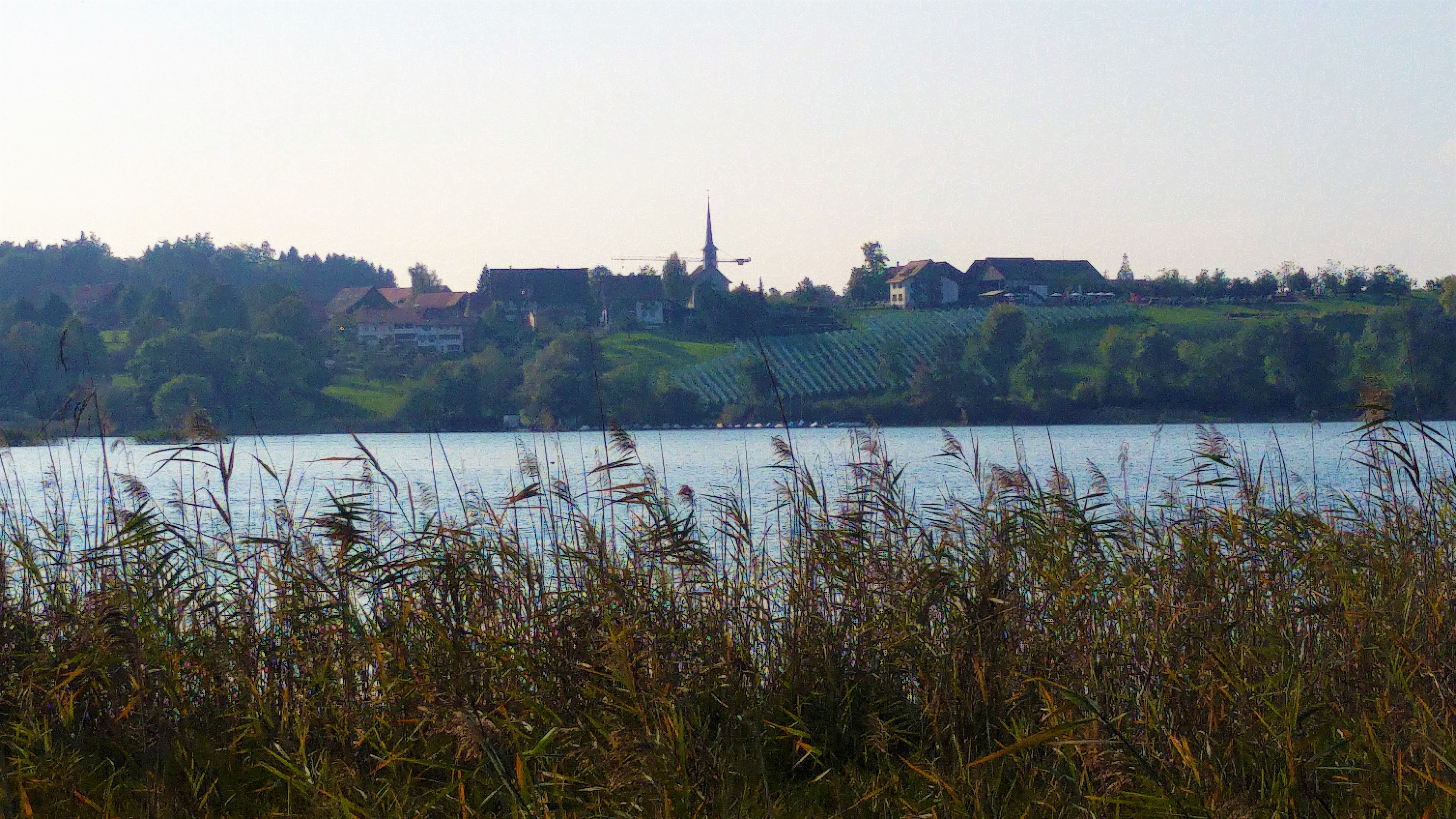 psee 12 seegräben vastarannalta