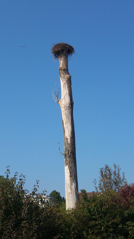 psee 2 haikaran pesä