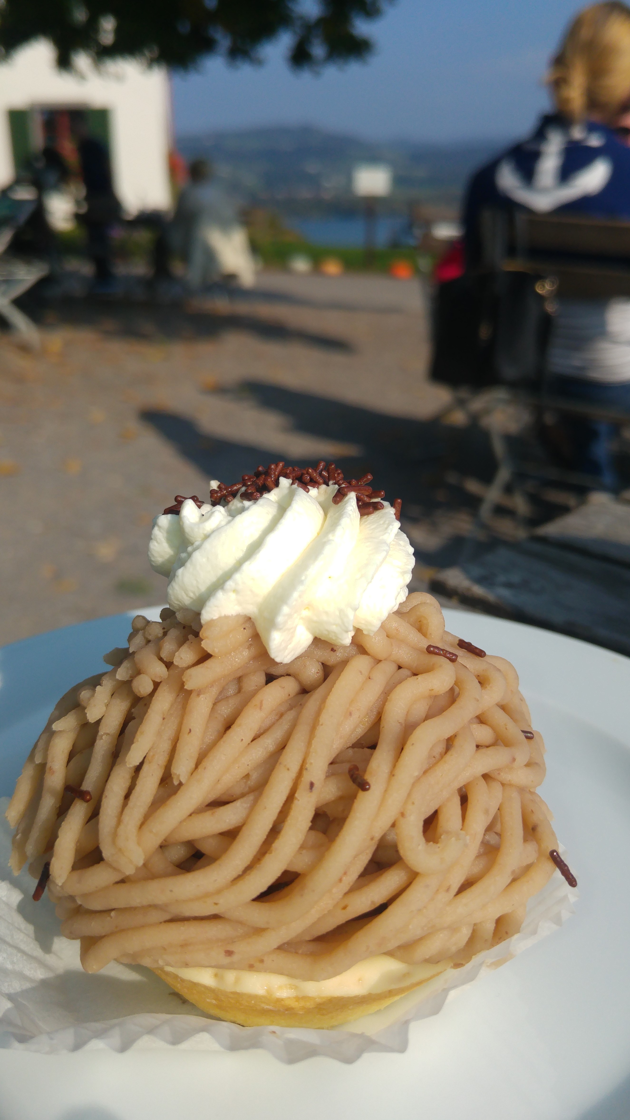 psee 8 marronileivos