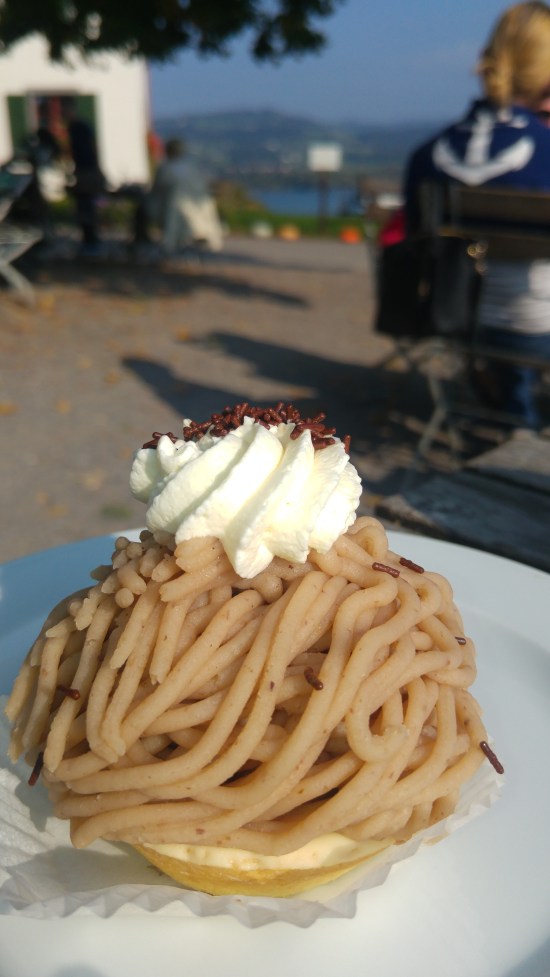 psee 8 marronileivos