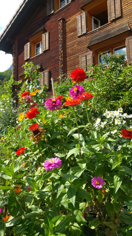 riviera 15 nätti talo