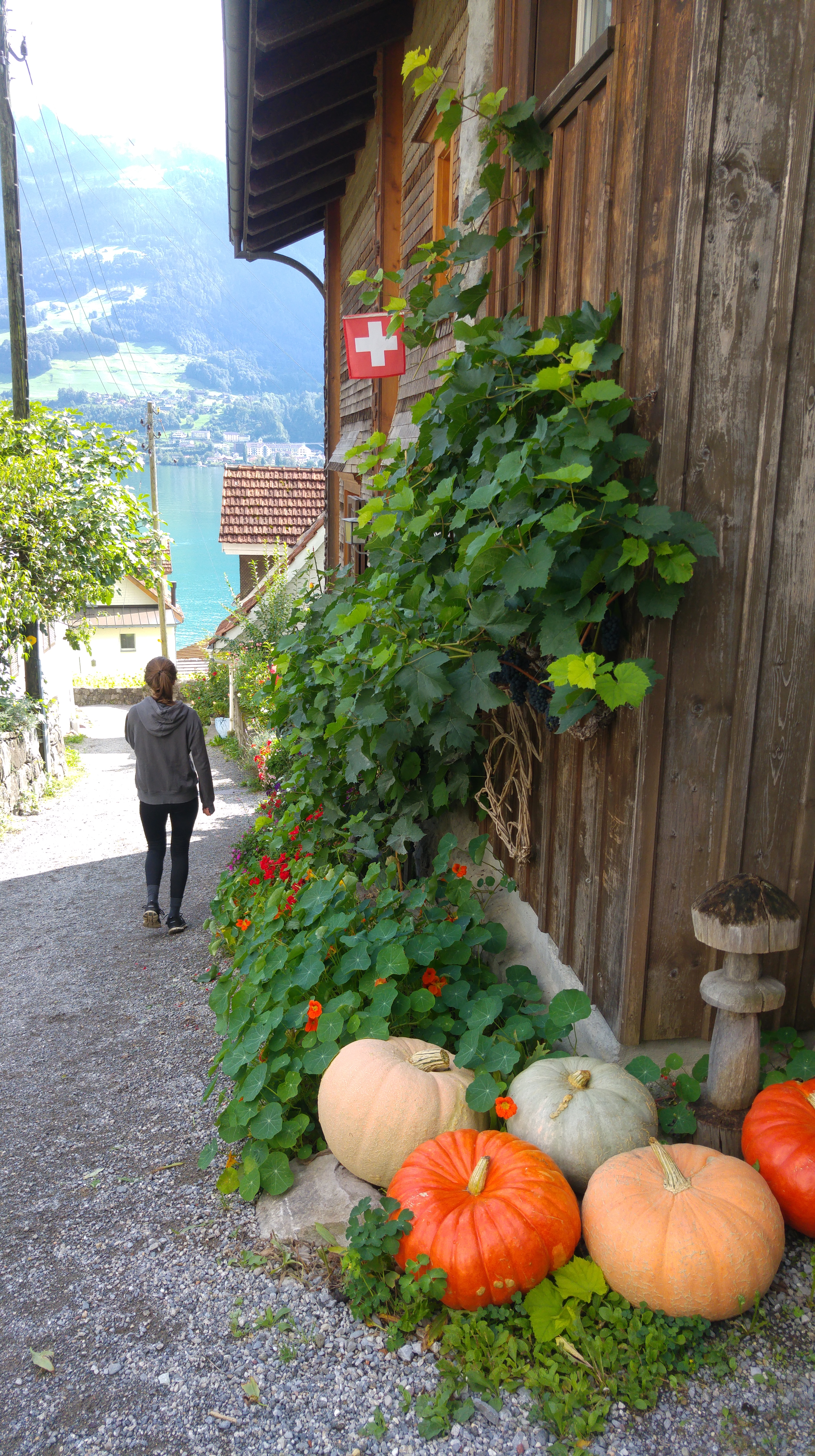 riviera 16 kurpitsat ja tyttö