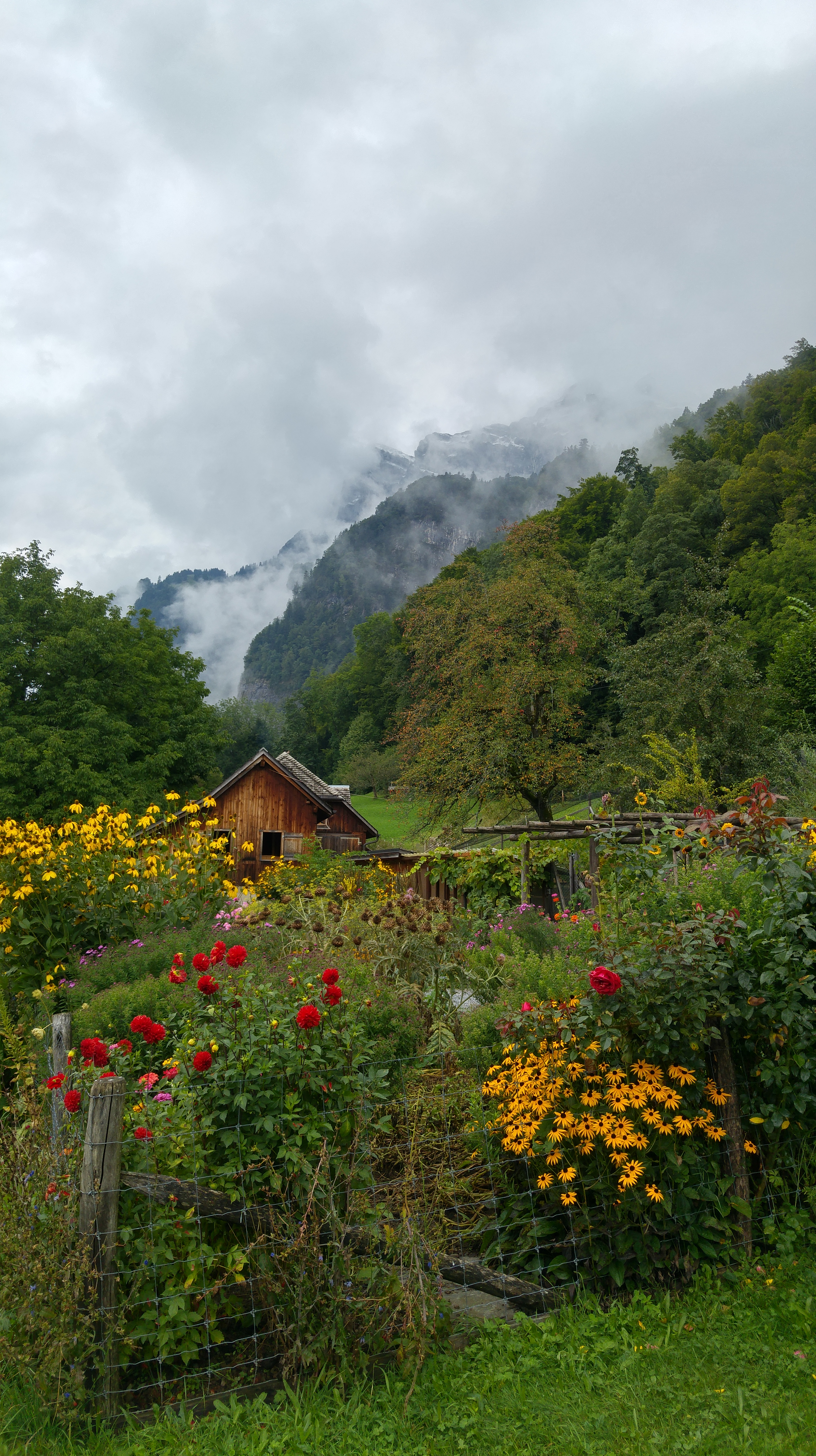 riviera 5 puutarha vuorella