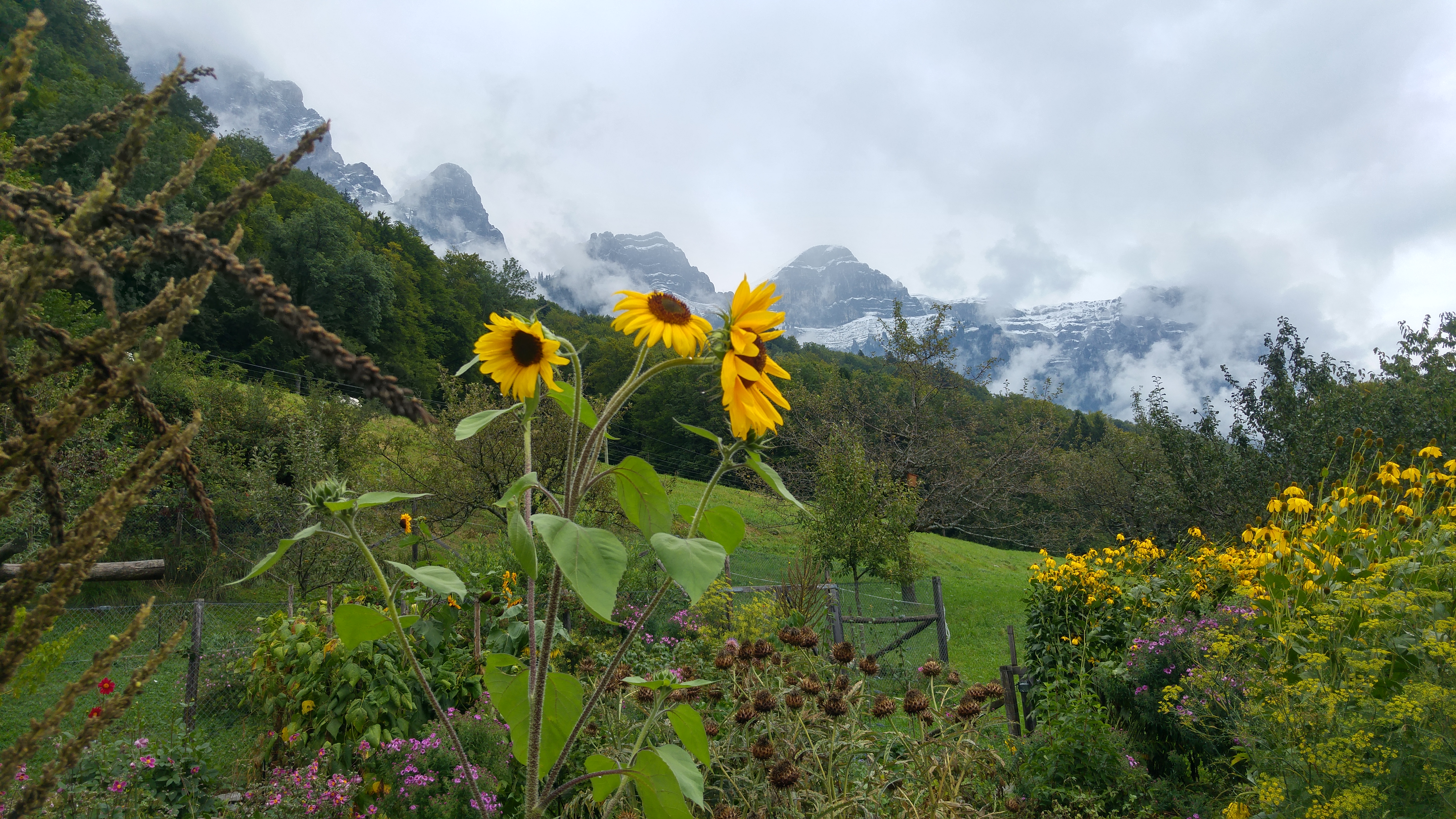 riviera 6 puutarha vuorella