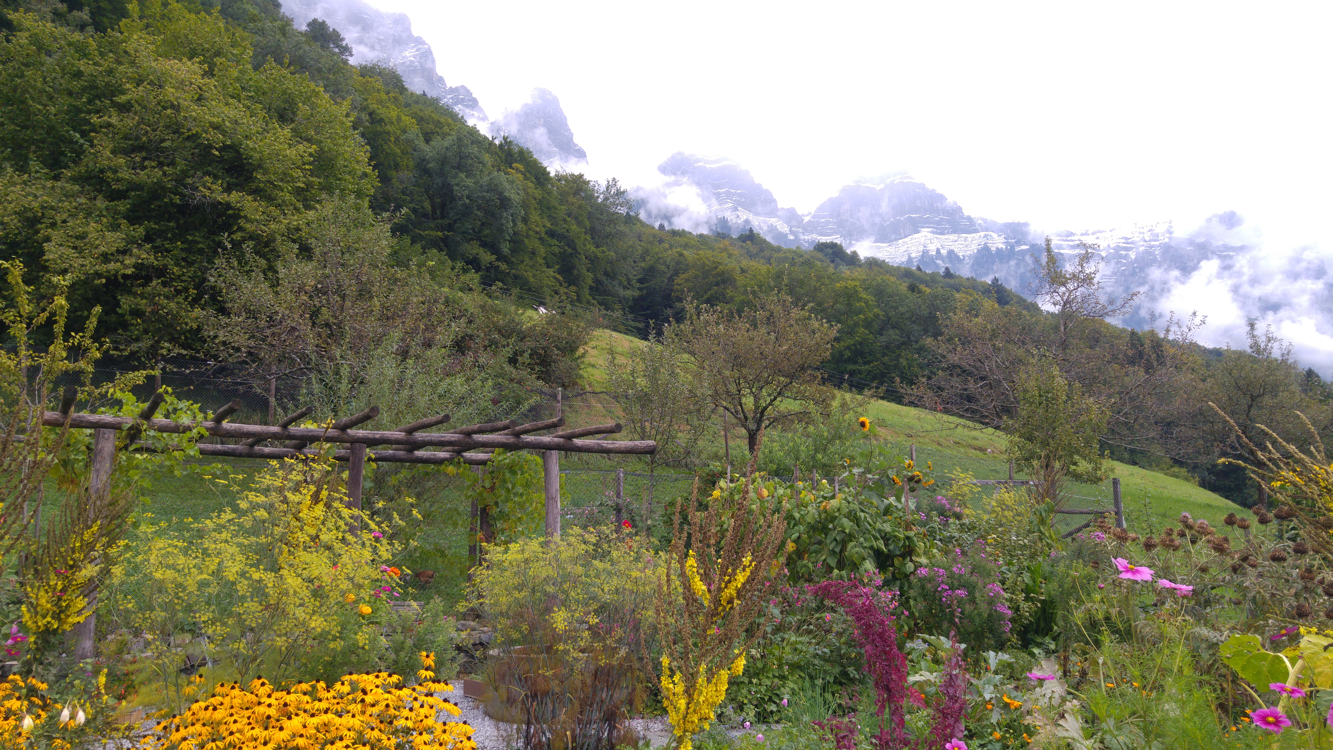 riviera 7 puutarha vuorella