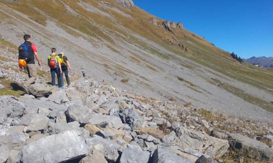 glarus 6 kyparatyypit polulla