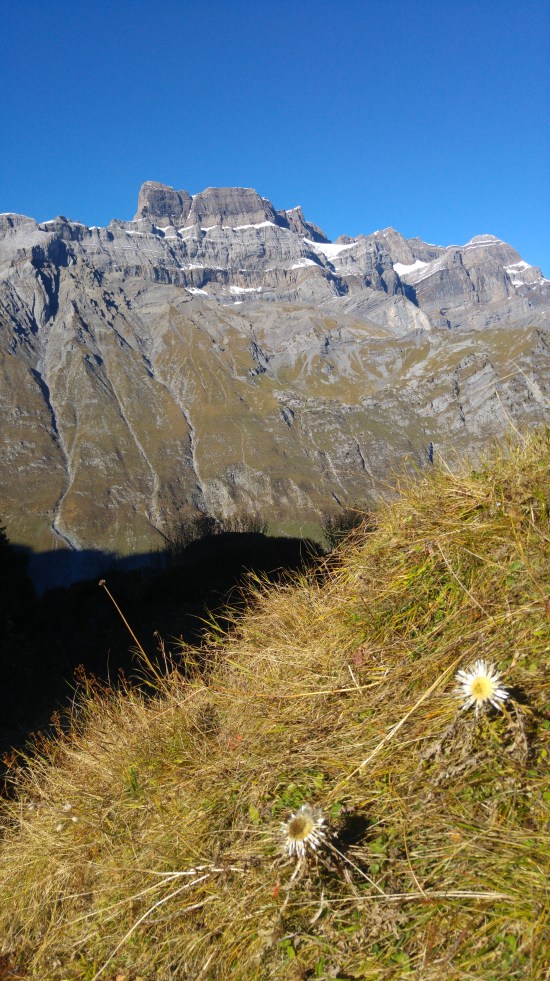 glarus 9 hieno vuori