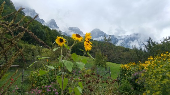 riviera 6 puutarha vuorella