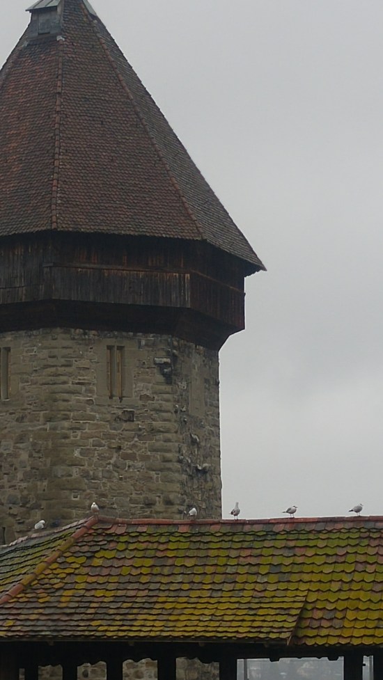 ticas luzernin torni