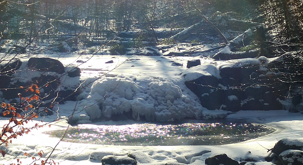 talvisveitsi 10 allas p