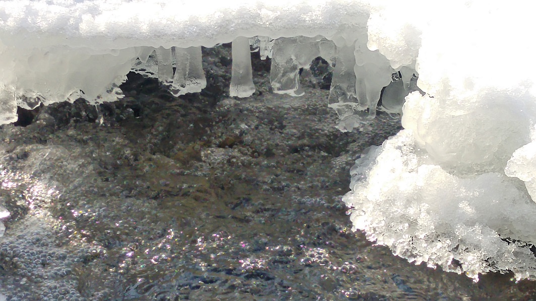 talvisveitsi 9 jää p