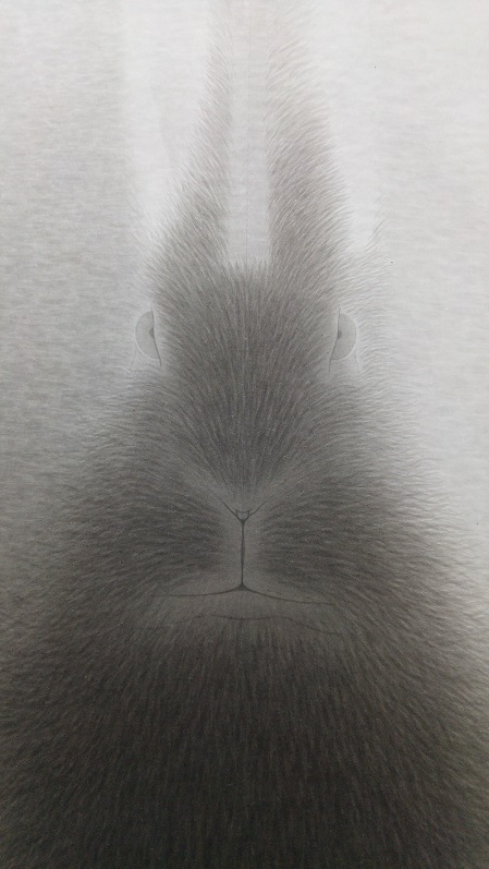 fumetto 2 harmaa pupu