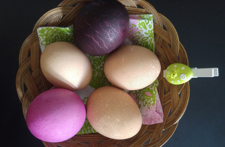 paasiainen munakori p