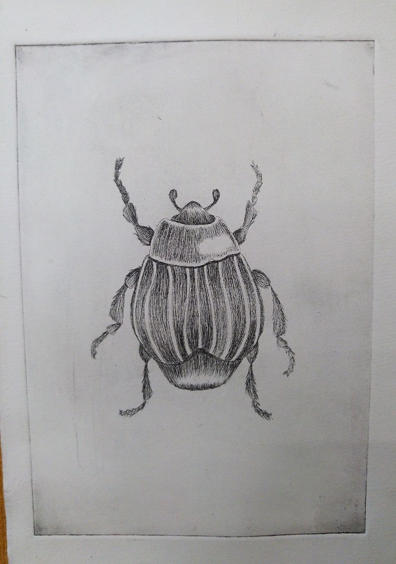 pfolio näyttely 3 p