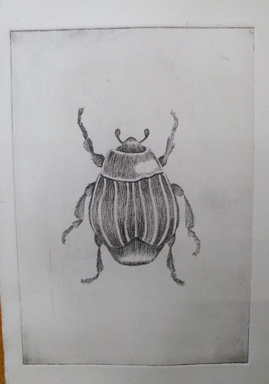 pfolio näyttely 3 p