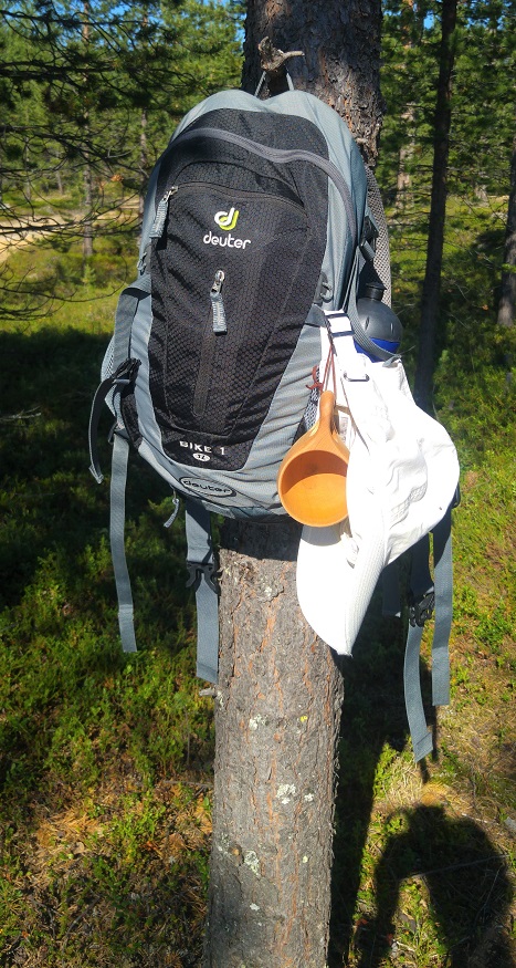 kurssi 7 kamat puussa