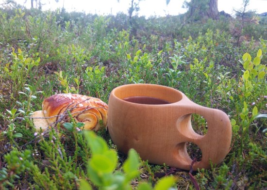 kurssi 9 pulla ja kuksa