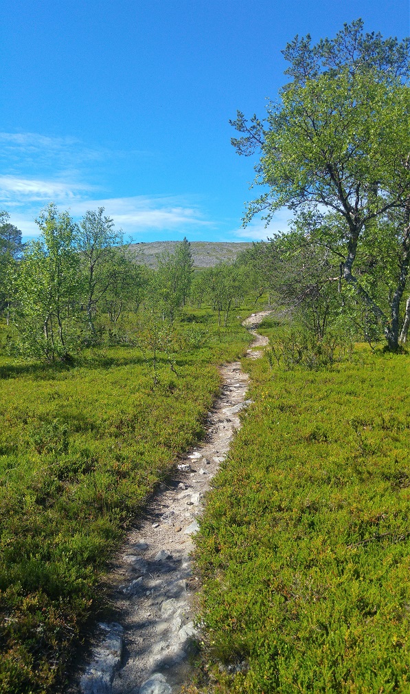 lemmenjoki 1 joenkielinen tunturi p