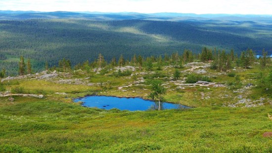 lemmenjoki 8 lampi p