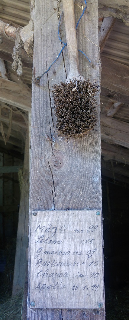 rast konsertti 20 lampaiden nimet ja harja p