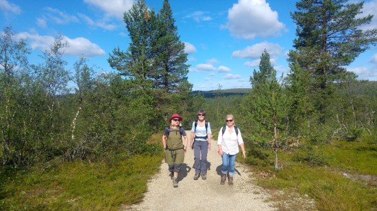 karhunpesäkivi 10 kiilopää 2 p