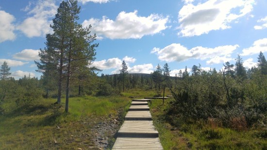 karhunpesäkivi 9 kiilopää