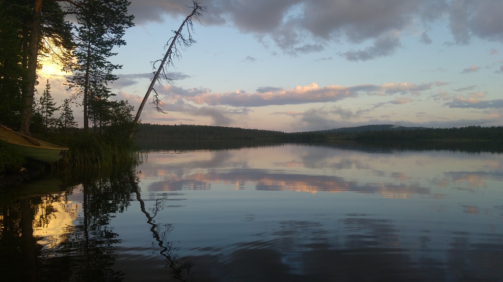 lappi luonto 12 puunkänkkärä ja valoilmiö